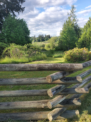 Park «N. Creek Park», reviews and photos, 1011 183rd St SE, Bothell, WA 98012, USA