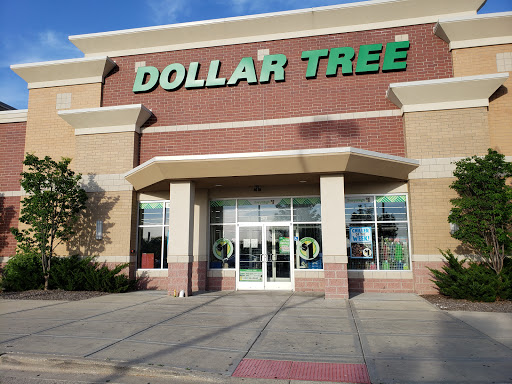 Dollar Store «Dollar Tree», reviews and photos, 263 S Weber Rd, Romeoville, IL 60446, USA