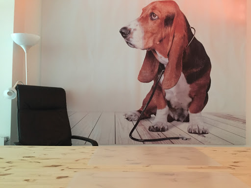 La Llar del Veterinari en Granollers