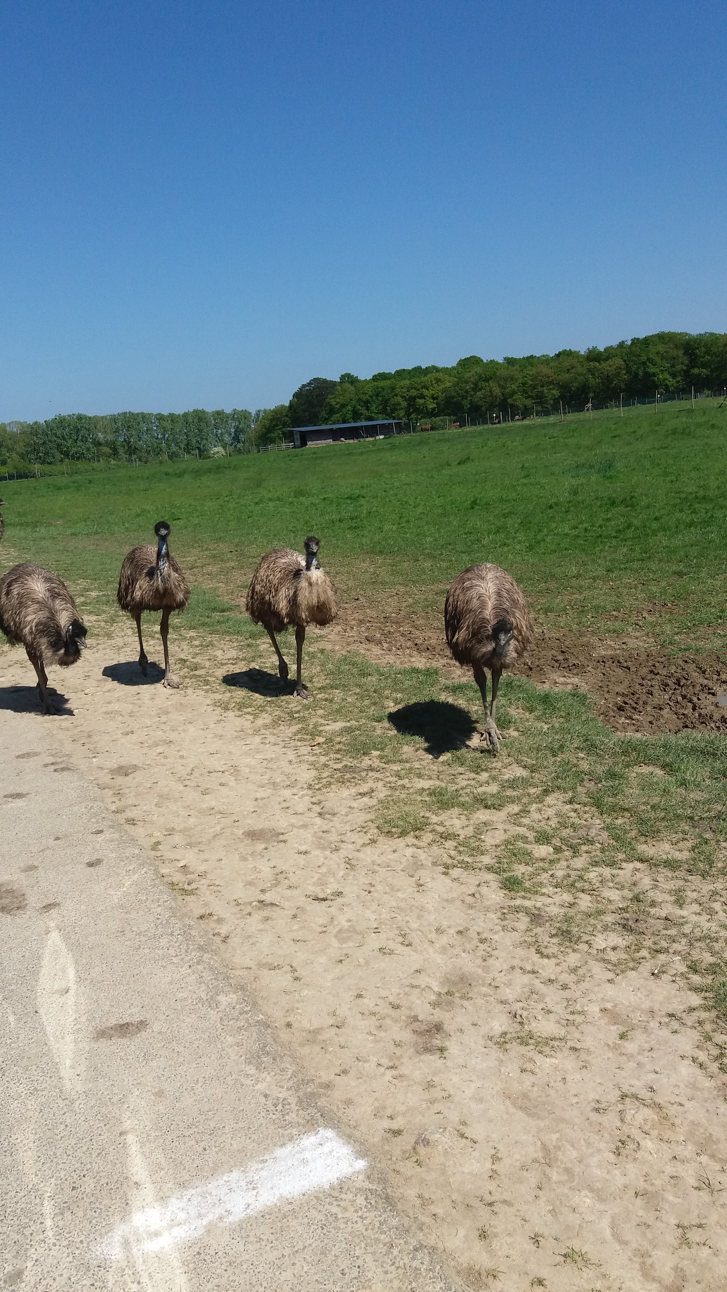 Photo n° 2 de l'avis de Yveline.r fait le 04/05/2018 à 16:08