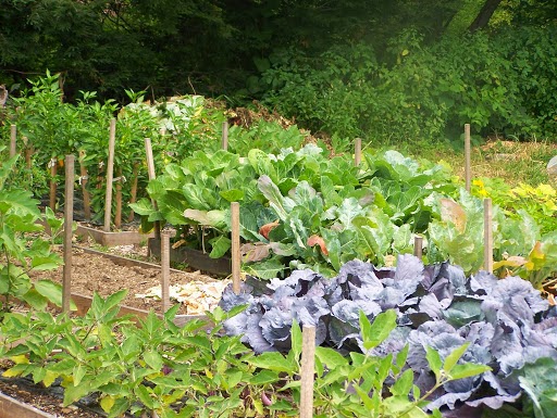 Bakery «Renaissance Farm», reviews and photos, 278 Spielman Hwy, Burlington, CT 06013, USA