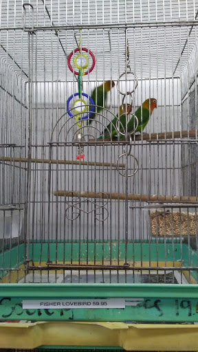 Tropical Fish Store «Midway Tropical Fish & Pets», reviews and photos, 24101 Pacific Hwy S, Kent, WA 98032, USA