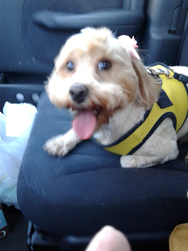 Pet Supply Store «Petsense North Richland Hills», reviews and photos, 5615 Rufe Snow Dr, North Richland Hills, TX 76180, USA