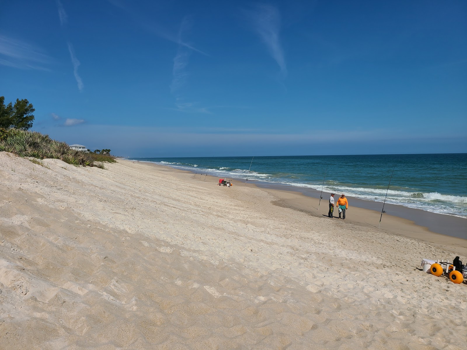 Valokuva Floridana beachista. villi alue