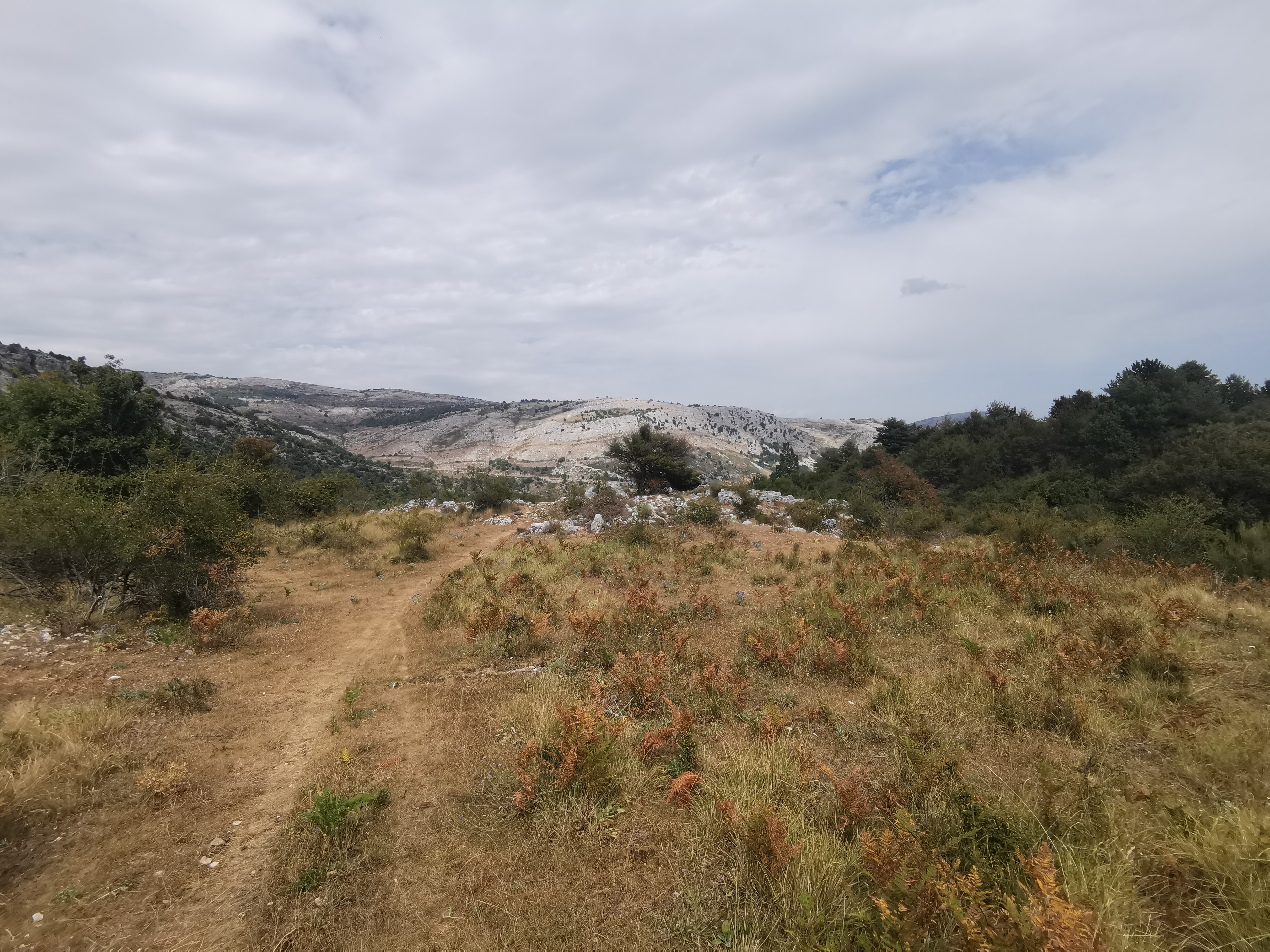 Photo n° 6 de l'avis de Gérald.A fait le 26/08/2023 à 19:03