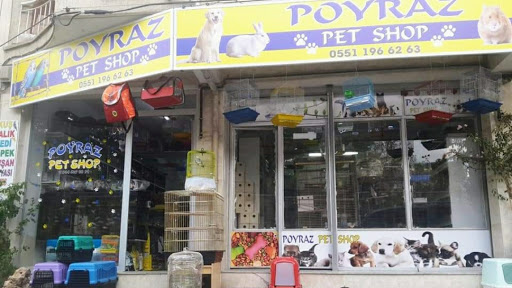 Poyraz Petshop AYDIN | Efeler Aydın - Evcil hayvan mağazası