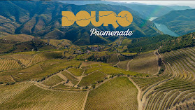 Douro Promenade -Douro Valley Wine Tours
