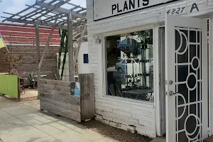 Ocean Beach Coffee and Plants image