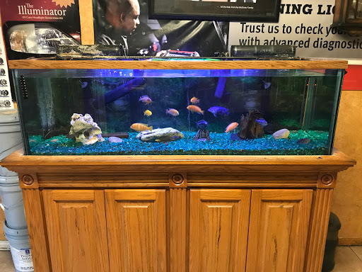 Auto Body Shop «Lewisville Affordable Automotive», reviews and photos, 546 E Church St, Lewisville, TX 75057, USA