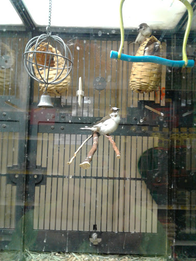 Pet Supply Store «PetSmart», reviews and photos, 734 E Big Beaver Rd, Troy, MI 48083, USA