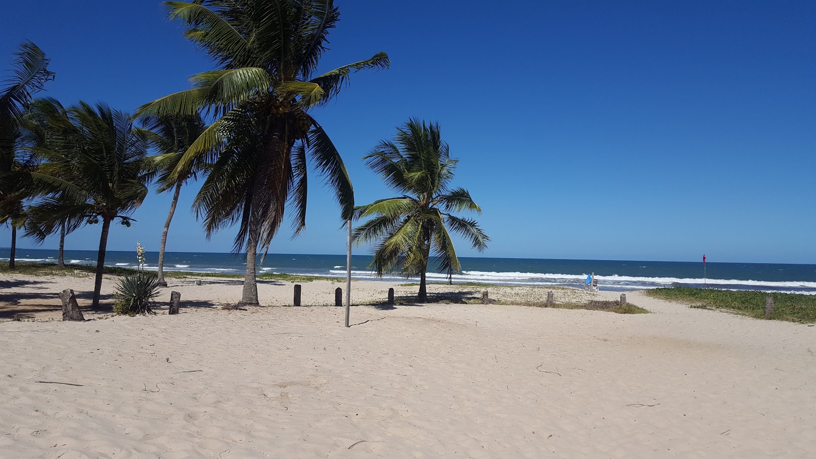 Praia de Guaibim的照片 具有非常干净级别的清洁度