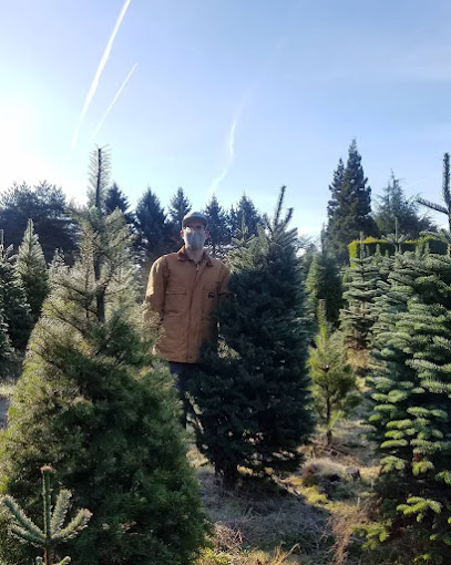 JTB U-Cut Christmas Trees