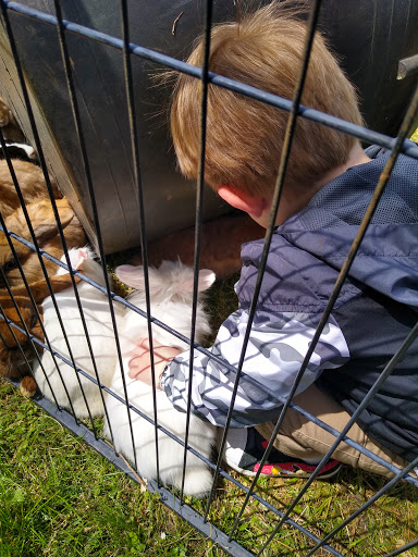 Tourist Attraction «Mitcham Farm», reviews and photos, 797 W Macedonia Church Rd, Oxford, GA 30054, USA