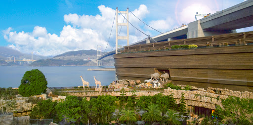 Noah's Ark Hotel and Resort