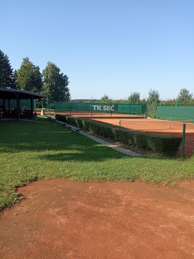 Tenisová škola Melicherová - Praha - tenisové kempy
