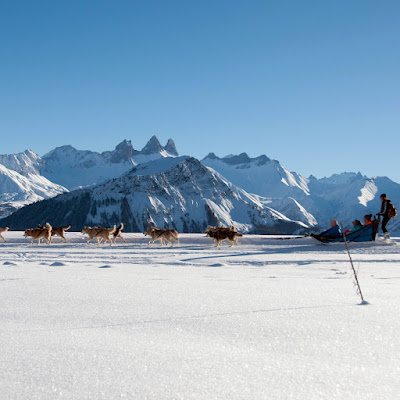 White Forest - La Toussuire à Fontcouverte-la-Toussuire
