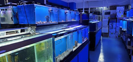 Pet Store «Coral Reef Pet Center», reviews and photos, 7723 W Lawrence Ave, Norridge, IL 60706, USA