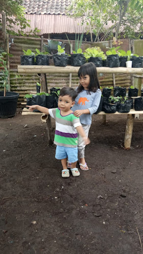 5 Destinasi Populer di Kebun Raya Kota Yogyakarta