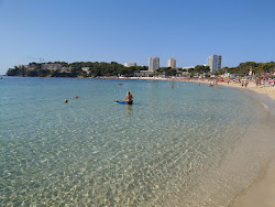 Magaluf Plajı'in fotoğrafı çok temiz temizlik seviyesi ile
