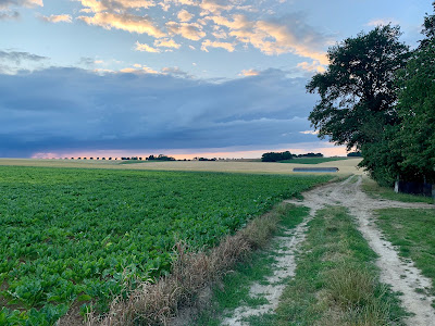 Sicteu Bassin Du Sausseron à Nesles-la-Vallée