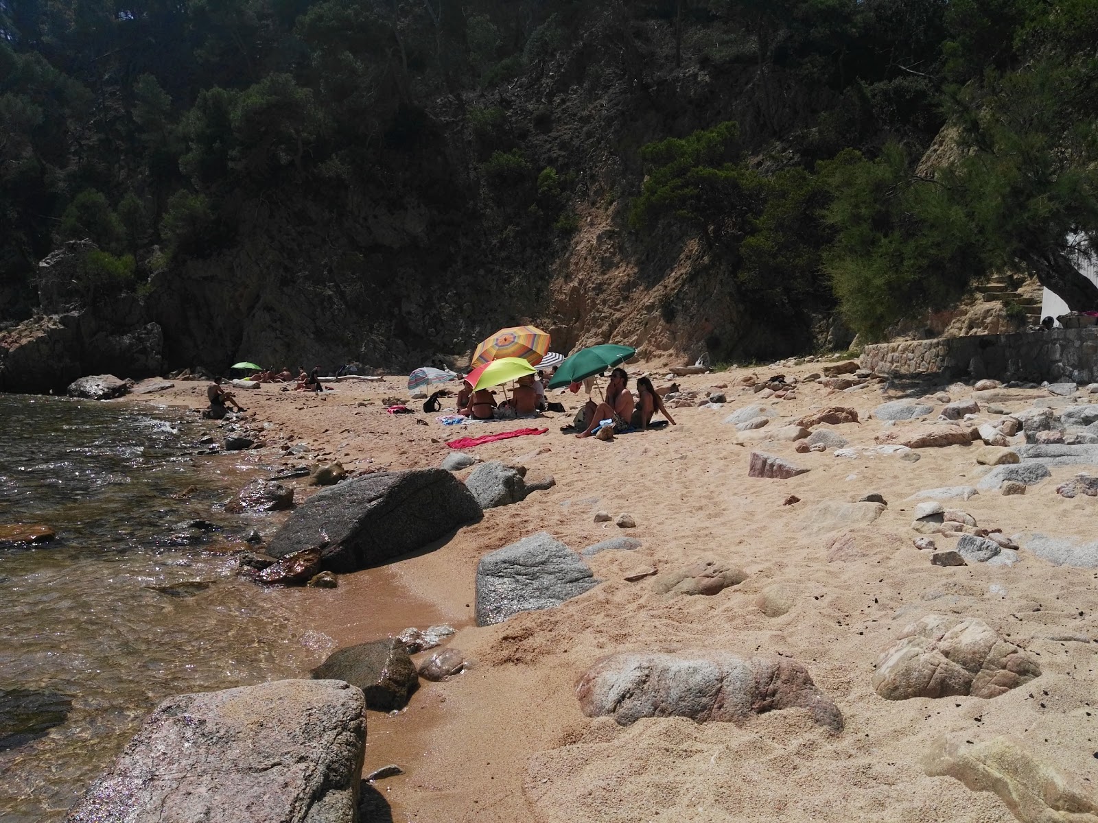 Foto di Cala del Crit zona selvaggia