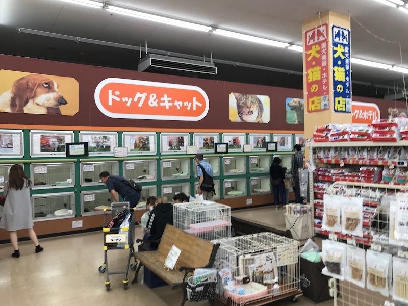 コーナン 市川原木店 千葉県市川市原木 ホームセンター ホームセンター グルコミ