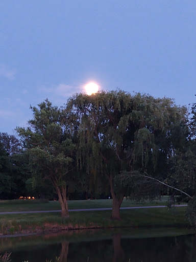 Golf Club «Arlington Lakes Golf Club (ALGC)», reviews and photos, 1211 New Wilke Rd, Arlington Heights, IL 60005, USA