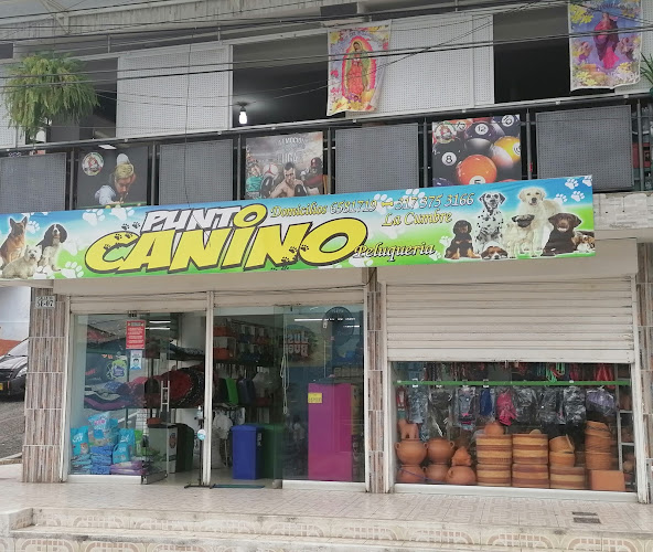 Punto canino la cumbre - Floridablanca
