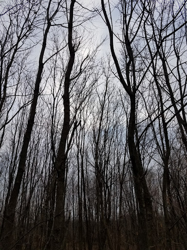 Park «Arthur K Draut Park», reviews and photos, Bowling Blvd, St Matthews, KY 40207, USA