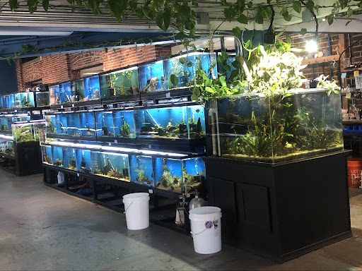 Pet Store «The Pet Works», reviews and photos, 407 4th Ave E, Olympia, WA 98501, USA