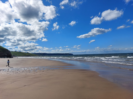 Whitby Plajı
