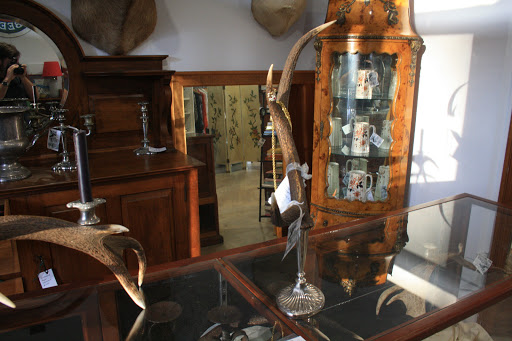 Art Antiques Antlers