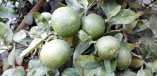 Top 20 cửa hàng thông minh Thị xã Bà Rịa Bà Rịa Vũng Tàu 2022