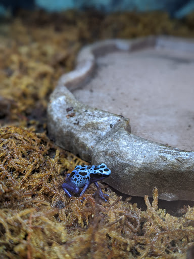 Pet Supply Store «Petco Animal Supplies», reviews and photos, 1 US-46, Totowa, NJ 07512, USA