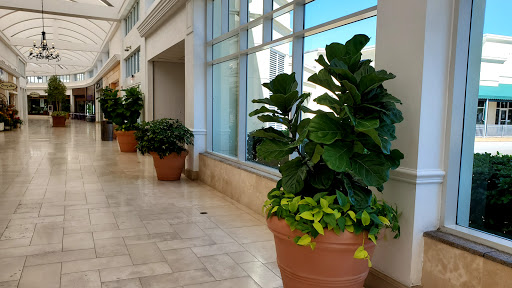 Shopping Mall «Westfield Southgate», reviews and photos, 3501 S Tamiami Trail, Sarasota, FL 34239, USA