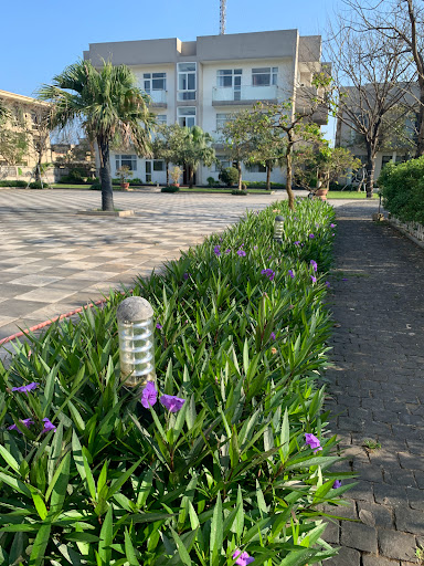 Top 10 cửa hàng đồ gỗ Huyện Đảo Cồn cỏ Quảng Trị 2022