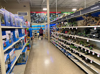 PetSmart - Photo 3 - Car repair in Ann Arbor, MI, Ann Arbor