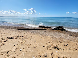 Zdjęcie Torch Bay Nature Preserve położony w naturalnym obszarze