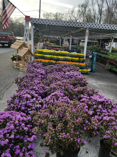 Grocery Store «Red Top Farm Market», reviews and photos, 1801 NJ-70, Southampton Township, NJ 08088, USA