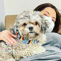 High Quality Home Therapy - Connecticut - Photo 5 - Car repair in Stamford, CT, Stamford