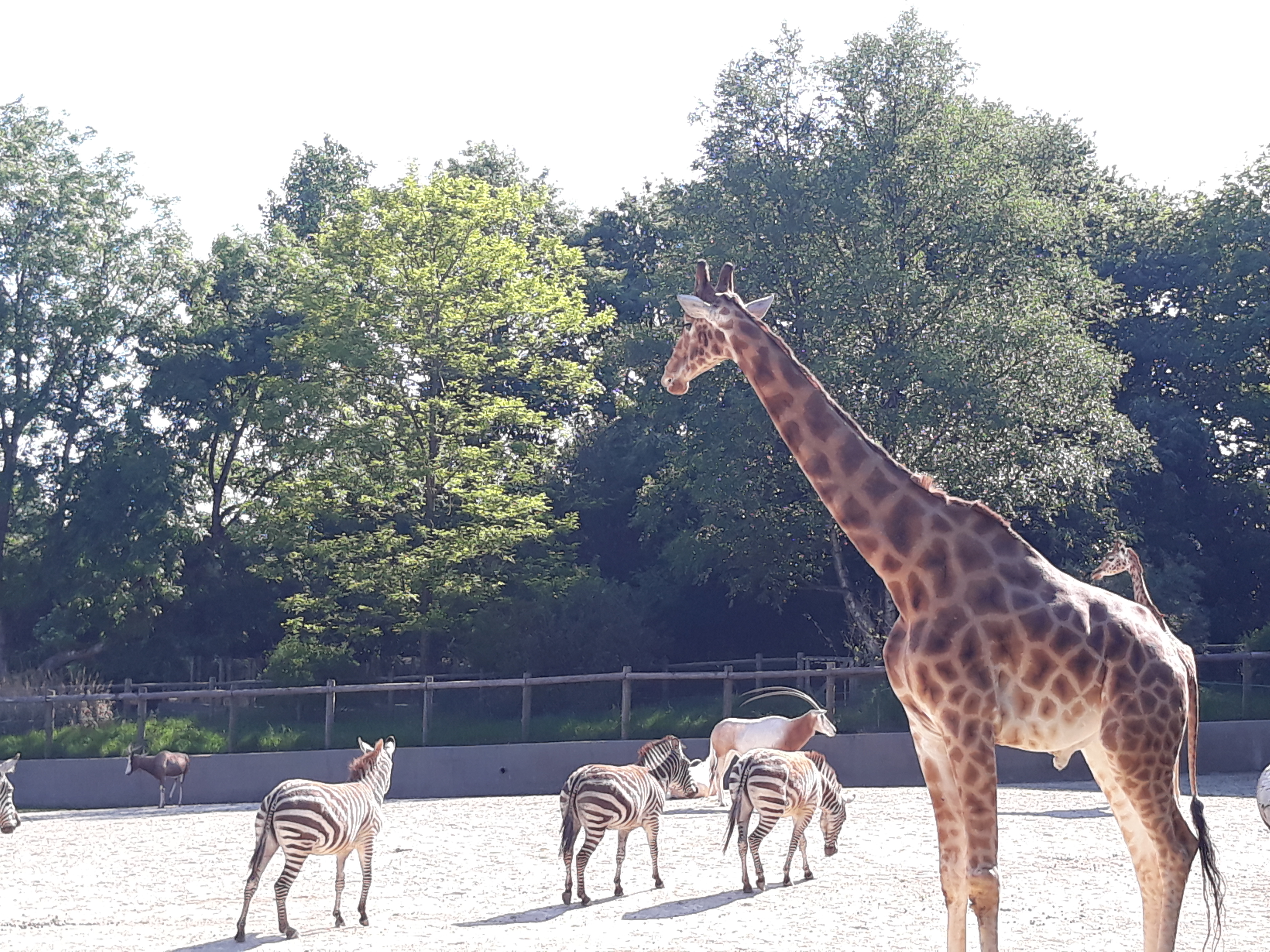 Photo n° 4 de l'avis de Aline.o fait le 23/05/2018 à 09:28