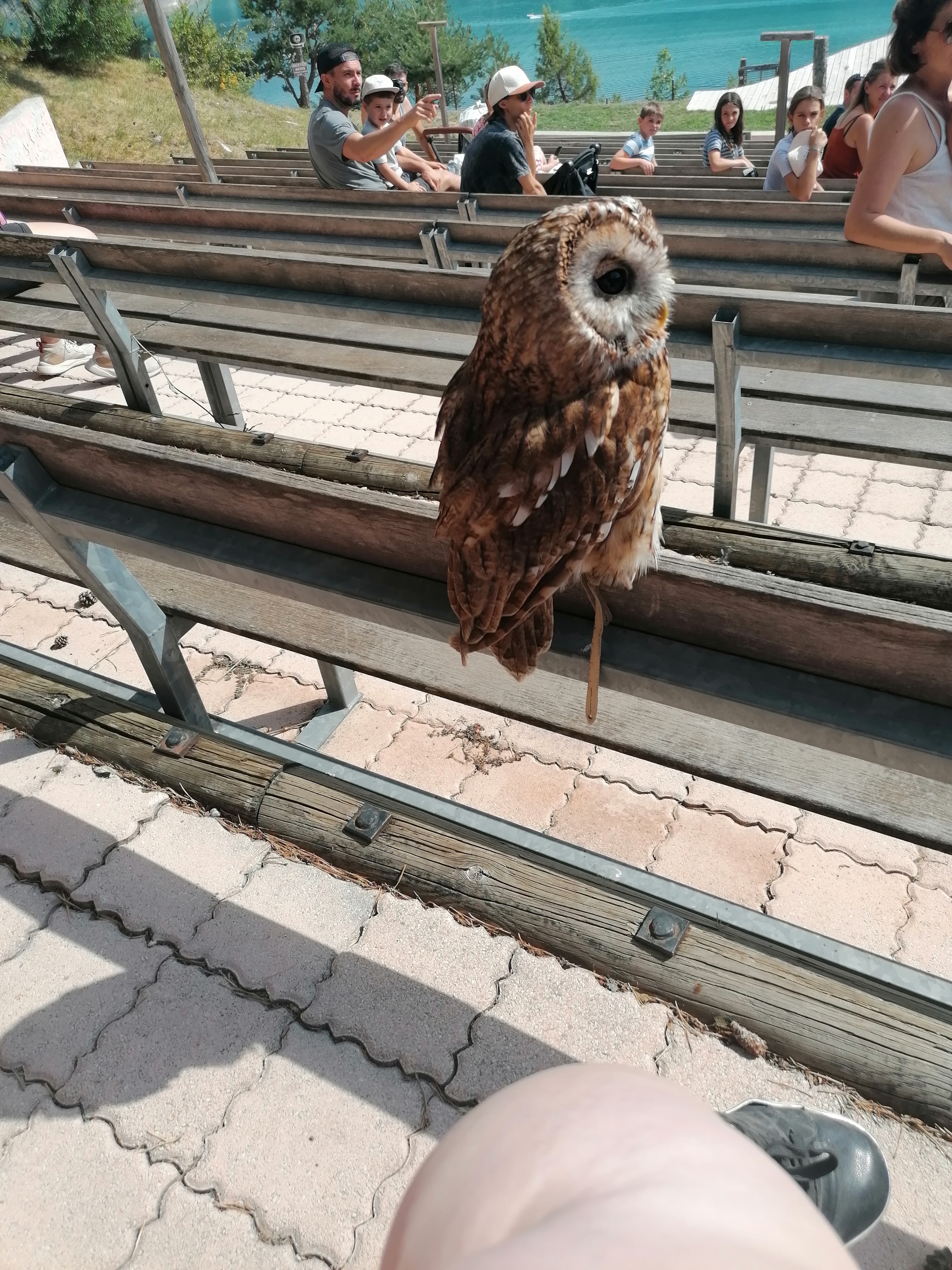 Photo n° 3 de l'avis de Vinciane.e fait le 22/08/2022 à 17:51