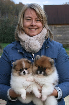 Sylvie Naturopathie chien chat cheval à Les Chatelets