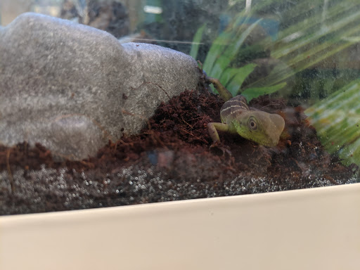 Pet Supply Store «PetSmart», reviews and photos, 777 S Willow St, Manchester, NH 03103, USA