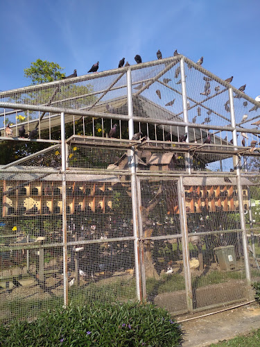 Bird House Taman Tiga Generasi