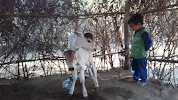 user