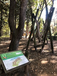 フィールドアスレチック