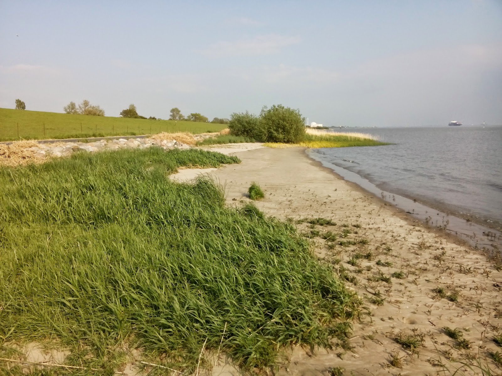 Foto von Brokdorf strand - guter haustierfreundlicher Ort für den Urlaub