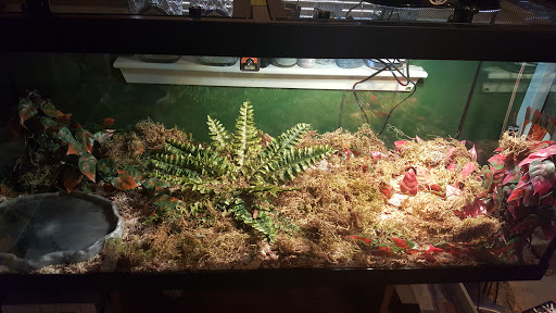 Pet Store «Fish Bowl», reviews and photos, 2117 E Race Ave, Searcy, AR 72143, USA