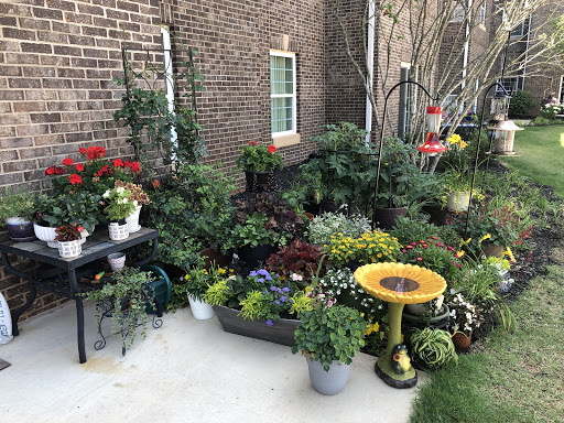 Garden Center «Pike Nurseries», reviews and photos, 615 W Crossville Rd, Roswell, GA 30075, USA